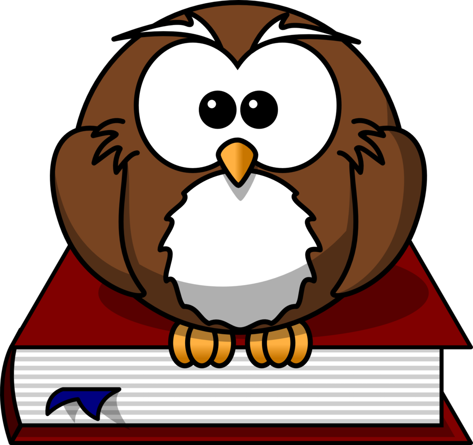 A cartoon owls sits on top of a book.